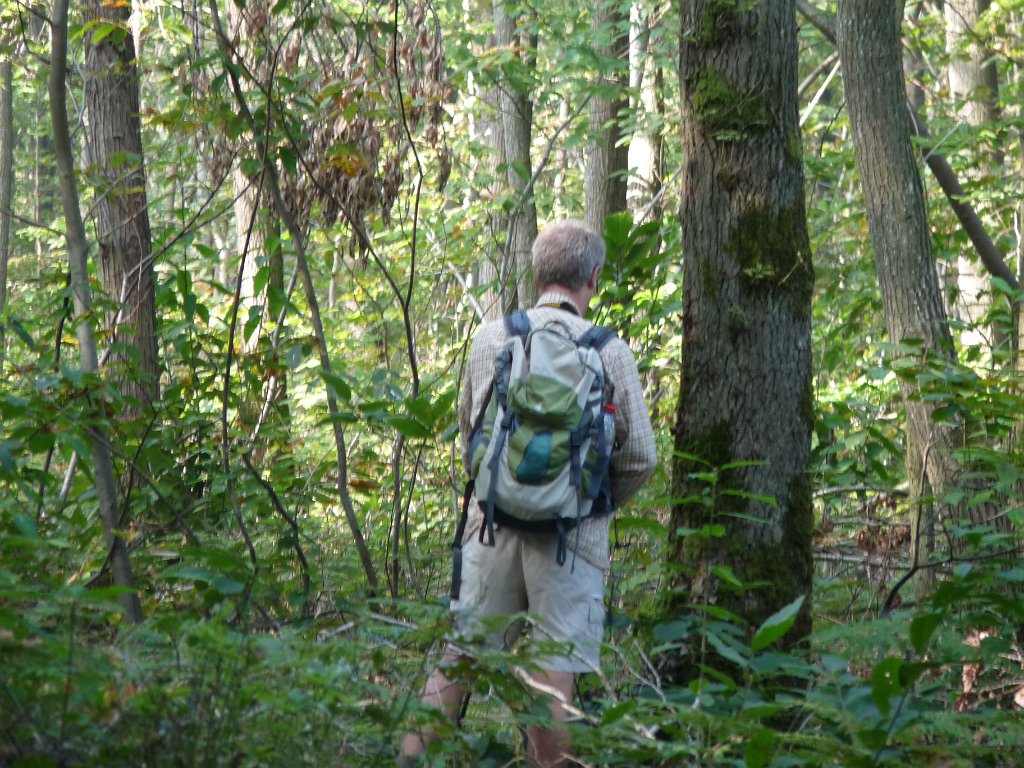 2014-09-14 Château de la Madeleine-0013.JPG